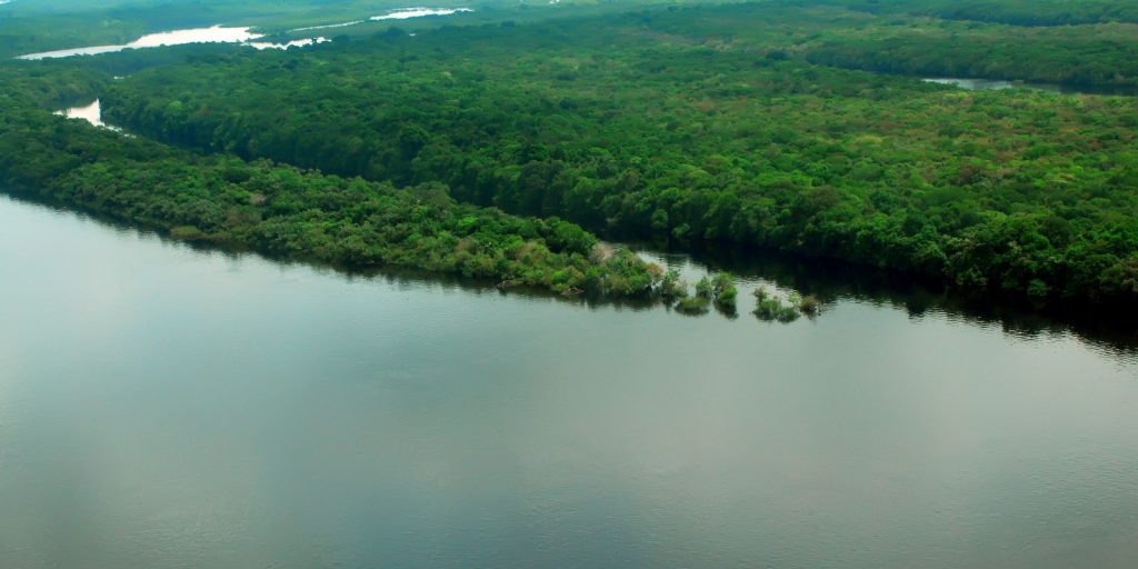 amazonia-agencia-brasil-1024x512.jpg